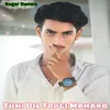 About Tuhi Dil Todgi Maharo Song